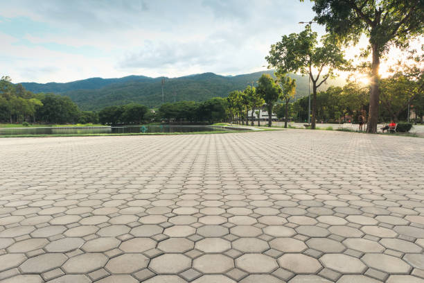 Best Concrete Paver Driveway  in Morgan City, LA